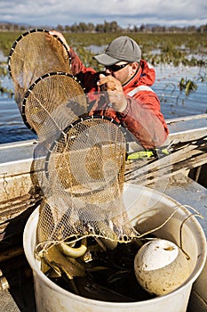 Eel Fisherman