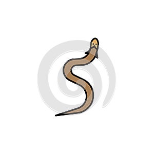 eel line icon. signs and symbols can be used for web, logo, mobile app, ui, ux