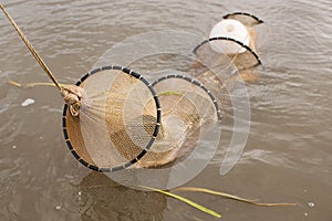 Eel Nets