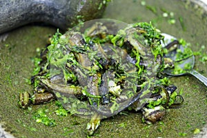 eel sauce or sambal belut photo