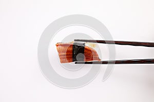 eel sushi eel nigiri sushi japanese food isolated in white background