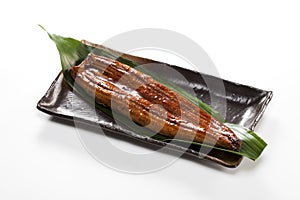 Eel ( unagi )