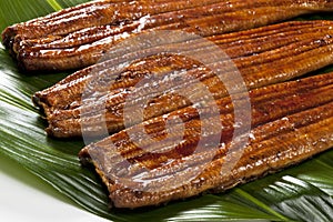 Eel ( unagi )
