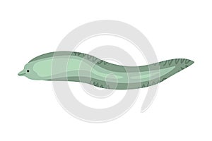 Eel Underwater Ocean Sea Creature Cartoon Vector Illustration