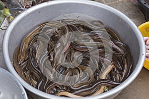 Eels in a bowl at a street food stall in Cambodia