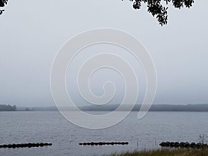 Eerie coastal fog over the bay.