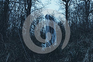An eerie ghostly figure standing in a forest on a winters day photo