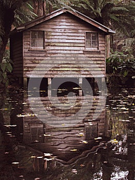 An eerie looking empty boat shack surrounded by trees and ferns with reflection of the shack on the water