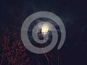 Eerie moon this night