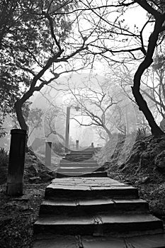 Eerie pathway