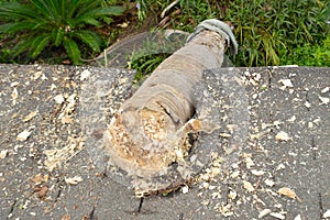 EF0 tornado damage on house roof