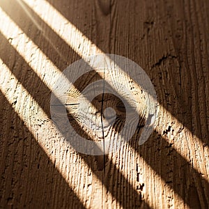 Effect captures the interplay between light and texture on the worn