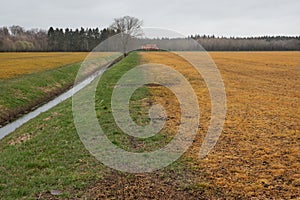 Effect of herbicide on grass