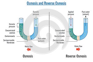 the effect of osmosses and reverse osmots