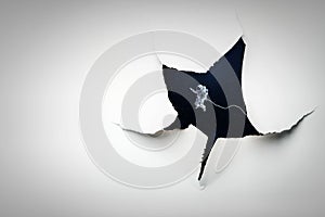 Effect of torn paper hole
