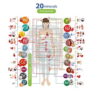 Effect of trace elements on the health of human organs