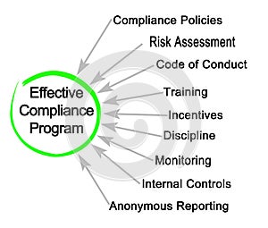 Effective Compliance Program