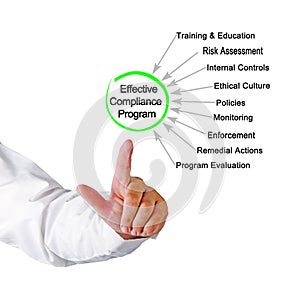 Effective Compliance Program