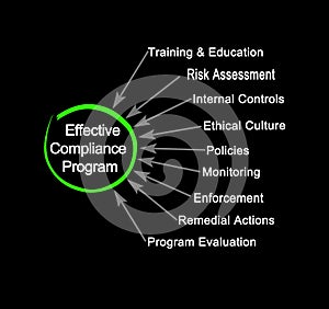 Effective Compliance Program