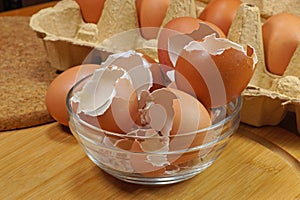 Effective fertilizer for plants. Shells from eggs, waste in the kitchen