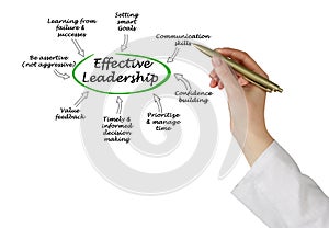 Effective Leadership