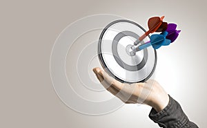 Effective Solutions and Control Concept