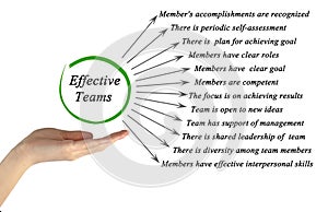 Effective teams