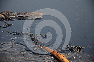 Effects Environmental from Water contaminated with Chemicals and oil photo