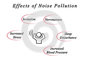 Effects of Noise Pollution