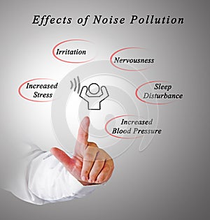 Effects of Noise Pollution