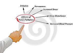 Effects of Noise Pollution