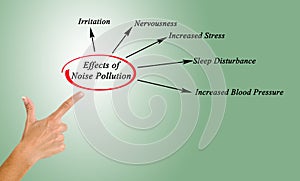 Effects of Noise Pollution