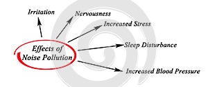 Effects of Noise Pollution