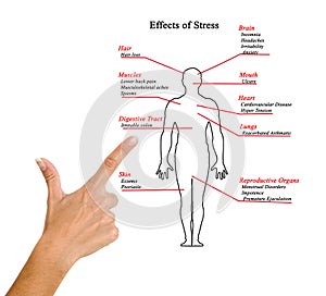 Effects of Stress