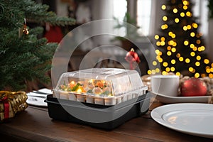Efficient Christmas food delivery in disposable plastic boxes, saving time and hassle photo