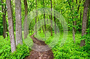 Effigy Mounds National Monument