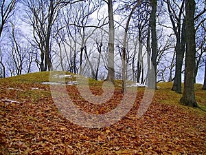 Effigy Mounds National Monument, Little Bear Mount Group at Fire Point, Iowa, USA