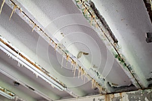 Efflorescence from concrete ceiling