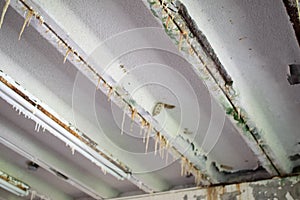 Efflorescence from concrete ceiling photo