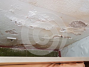 Efflorescence on the plaster due to rising damp in the wall photo