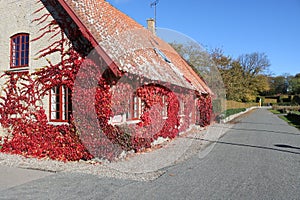 The Egeskov castle in Denmark.