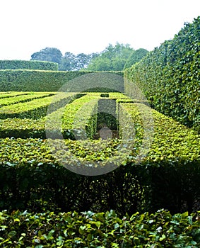 Egeskov castle maze