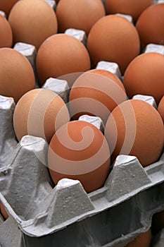 Egg