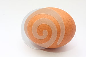 Egg