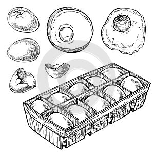 Sketch Set of eggs, egg tray, broken egg. Box of Eggs