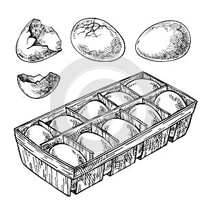 Sketch Set of eggs, egg tray, broken egg. Box of Eggs. Hand drawn fried, scrambled egg.