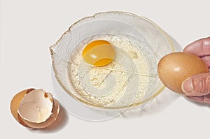 Egg