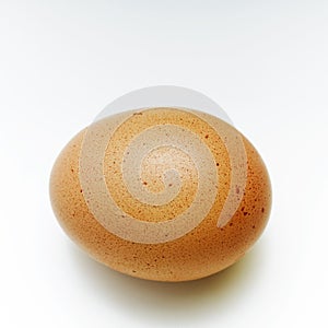 Egg