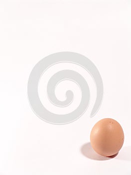 An egg