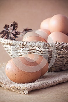 Egg